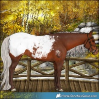 Horse Color:Silver Brown Snowcap