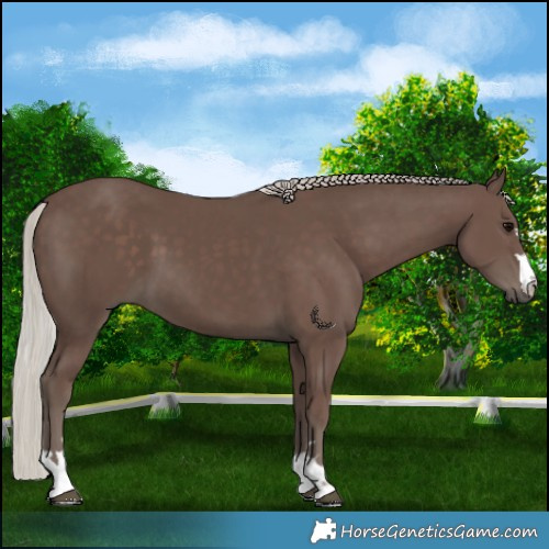 Horse Color:Silver Black 
