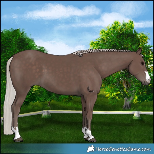 Horse Color:Silver Black