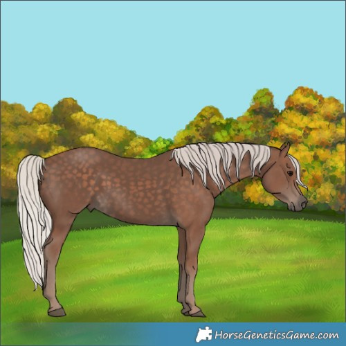 Horse Color:Silver Black 