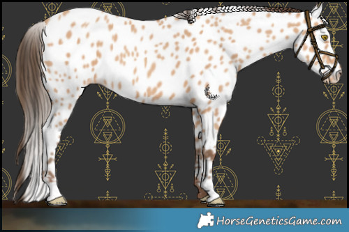 Horse Color:Amber Champagne Leopard 