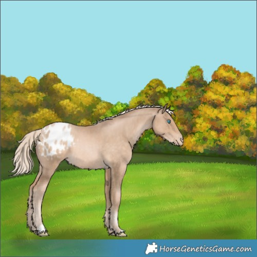Horse Color:Chocolate Palomino Pearl Varnish 