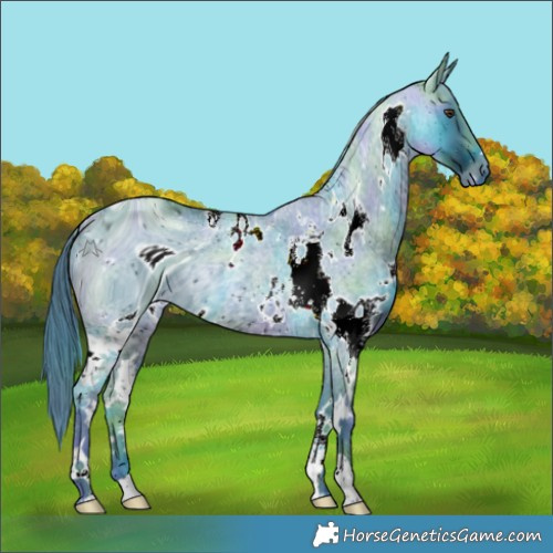 Horse Color:ERROR: UNKNOWN ANOMALY