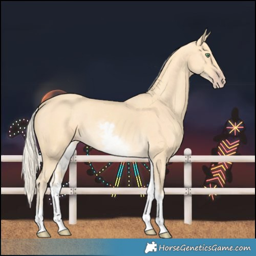Horse Color:White Spotted Gold Cream Champagne 