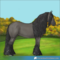 Horse Color:Grullo 