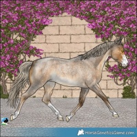 Horse Color:Chocolate Palomino Roan Mushroom Sabino Rabicano