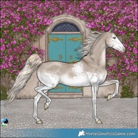 Horse Color:White Spotted Liver Red Dun Mushroom Rabicano 