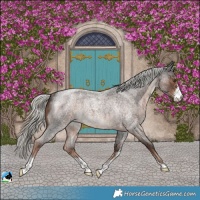 Horse Color:Liver Red Roan Mushroom Sabino Rabicano