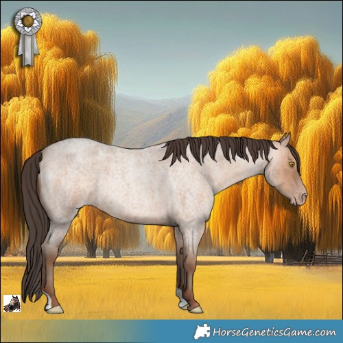 Horse Color:Sable Champagne Roan