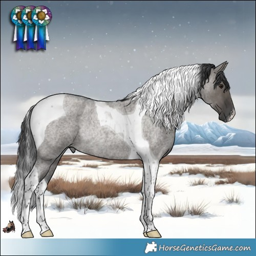 Horse Color:Grullo Roan Tobiano Rabicano 