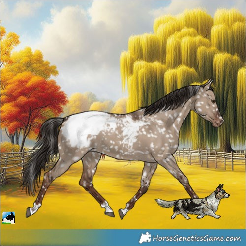Horse Color:Liver Red Dun Snowcap 