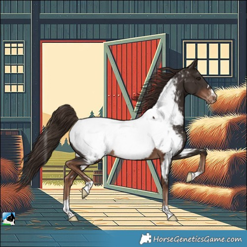 Horse Color:Liver Chestnut Near Fewspot