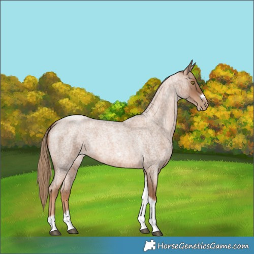 Horse Color:Liver Red Roan Pearl Tobiano Frame 