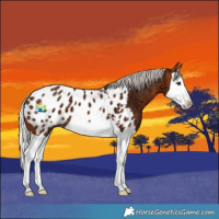 Horse Color:Silver Bay Ice Splash Blanket 