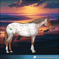 Horse Color:Red Roan Blanket 