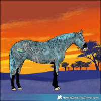 Horse Color:ERROR: UNKNOWN ANOMALY