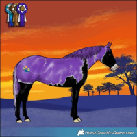 Horse Color:ERROR: UNKNOWN ANOMALY