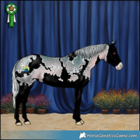 Horse Color:Watercolor White Spotted Silver Bay Chinchilla Splash 