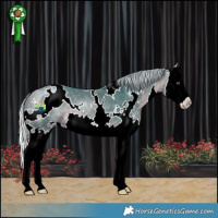 Horse Color:Watercolor White Spotted Silver Bay Chinchilla Splash 