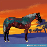 Horse Color:ERROR: UNKNOWN ANOMALY