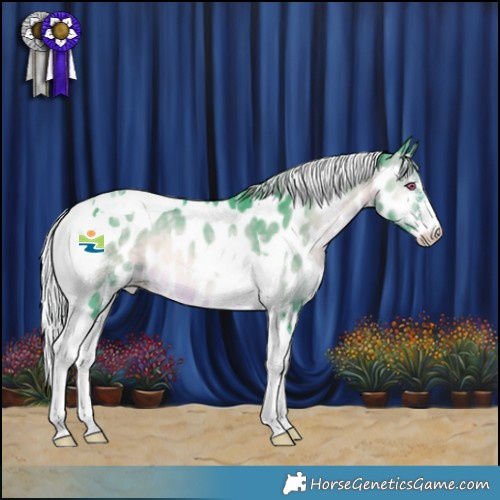 Horse Color:Watercolor Silver Brown Chinchilla Onyx Sabino Tobiano Appaloosa