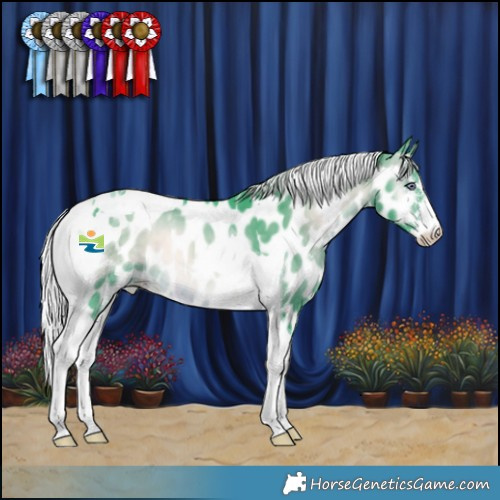 Horse Color:Watercolor Silver Brown Chinchilla Onyx Sabino Tobiano Appaloosa 