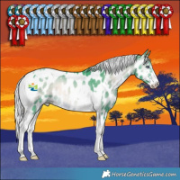 Horse Color:Watercolor Silver Brown Chinchilla Onyx Sabino Tobiano Near Leopard 