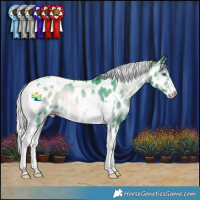 Horse Color:Watercolor Silver Brown Chinchilla Onyx Sabino Tobiano Appaloosa