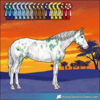 Horse Color:Watercolor Silver Brown Chinchilla Onyx Sabino Tobiano Appaloosa