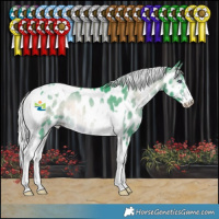 Horse Color:Watercolor Silver Brown Chinchilla Onyx Sabino Tobiano Near Leopard