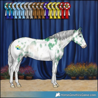 Horse Color:Watercolor Silver Brown Chinchilla Onyx Sabino Tobiano Appaloosa 