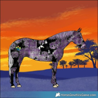 Horse Color:Watercolor Plaid  Silver Brown Ice Sabino Tobiano Rabicano 