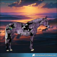 Horse Color:Watercolor Plaid  Silver Brown Ice Sabino Tobiano Rabicano 