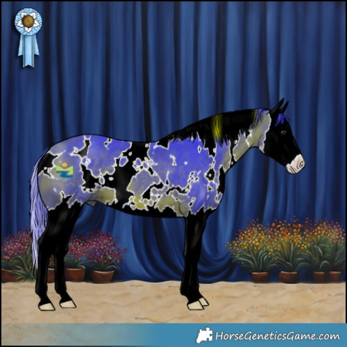 Horse Color:Watercolor White Spotted Bay Splash 