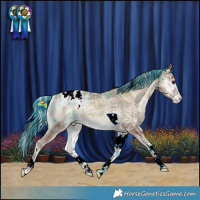 Horse Color:Painted Plaid  Silver Blue Onyx Ice Tobiano Appaloosa Rabicano 