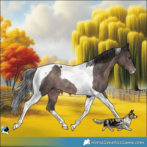 Horse Color:Platinum Liver Chestnut Tobiano Rabicano