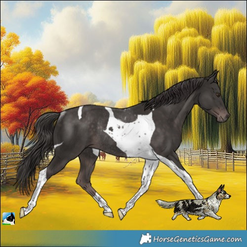Horse Color:Platinum Liver Chestnut Tobiano Rabicano