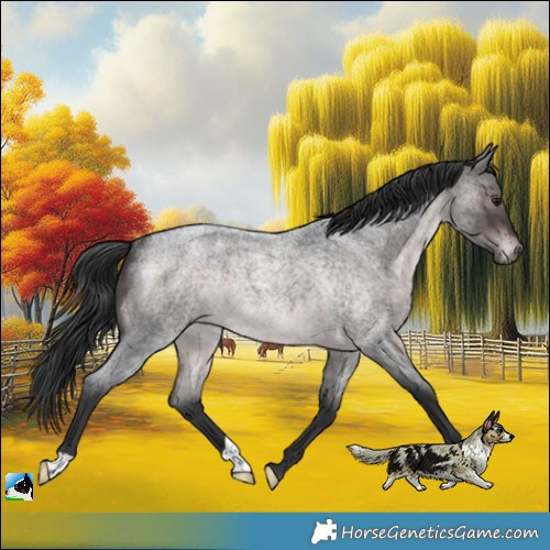 Horse Color:Platinum Brown Roan Mushroom Rabicano