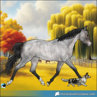 Horse Color:Platinum Brown Roan Mushroom Rabicano 