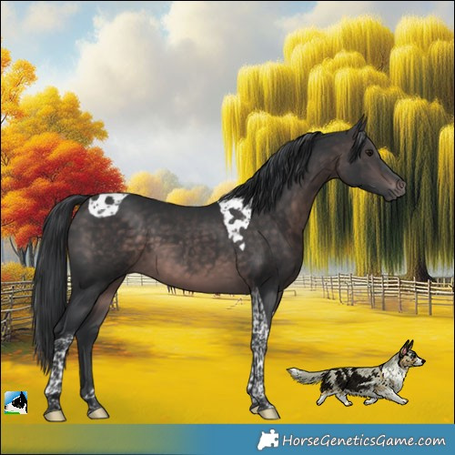 Horse Color:Platinum Brown Mushroom Tobiano 