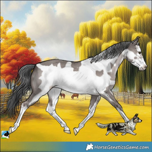 Horse Color:Platinum White Spotted Liver Red Dun Mushroom Frame 