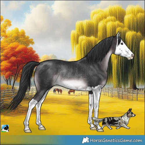 Horse Color:Platinum Brown Splash Rabicano 
