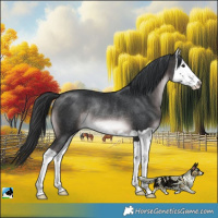 Horse Color:Platinum Brown Splash Rabicano
