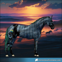 Horse Color:ERROR: UNKNOWN ANOMALY