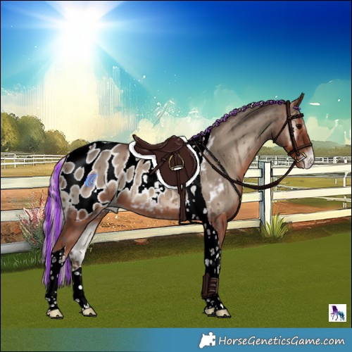 Horse Color:Painted Silver Blue Onyx Tobiano Appaloosa 