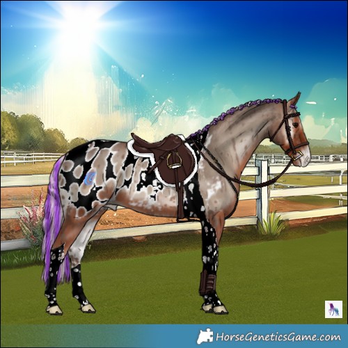 Horse Color:Painted Silver Blue Onyx Tobiano Appaloosa 