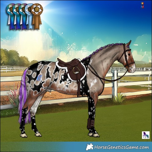 Horse Color:Painted Silver Blue Onyx Tobiano Blanket 