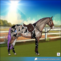 Horse Color:Painted Silver Blue Onyx Tobiano Appaloosa 