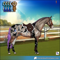 Horse Color:Painted Silver Blue Onyx Tobiano Blanket 