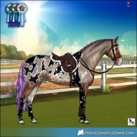 Horse Color:Painted Silver Blue Onyx Tobiano Blanket 